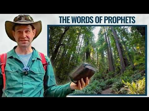 Watch in Preparation for General Conference (What Redwoods Teach Us)