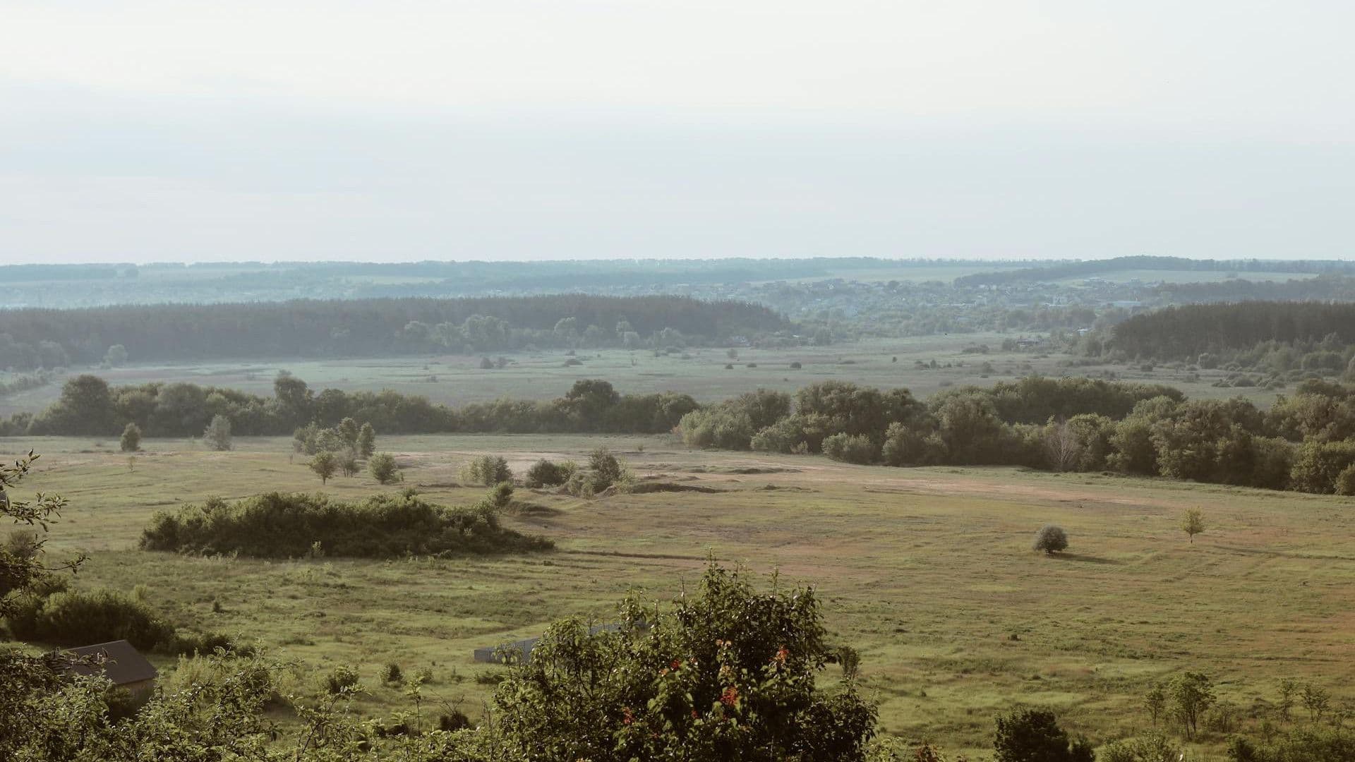 Image by Andrii Smuryhin via Pexels