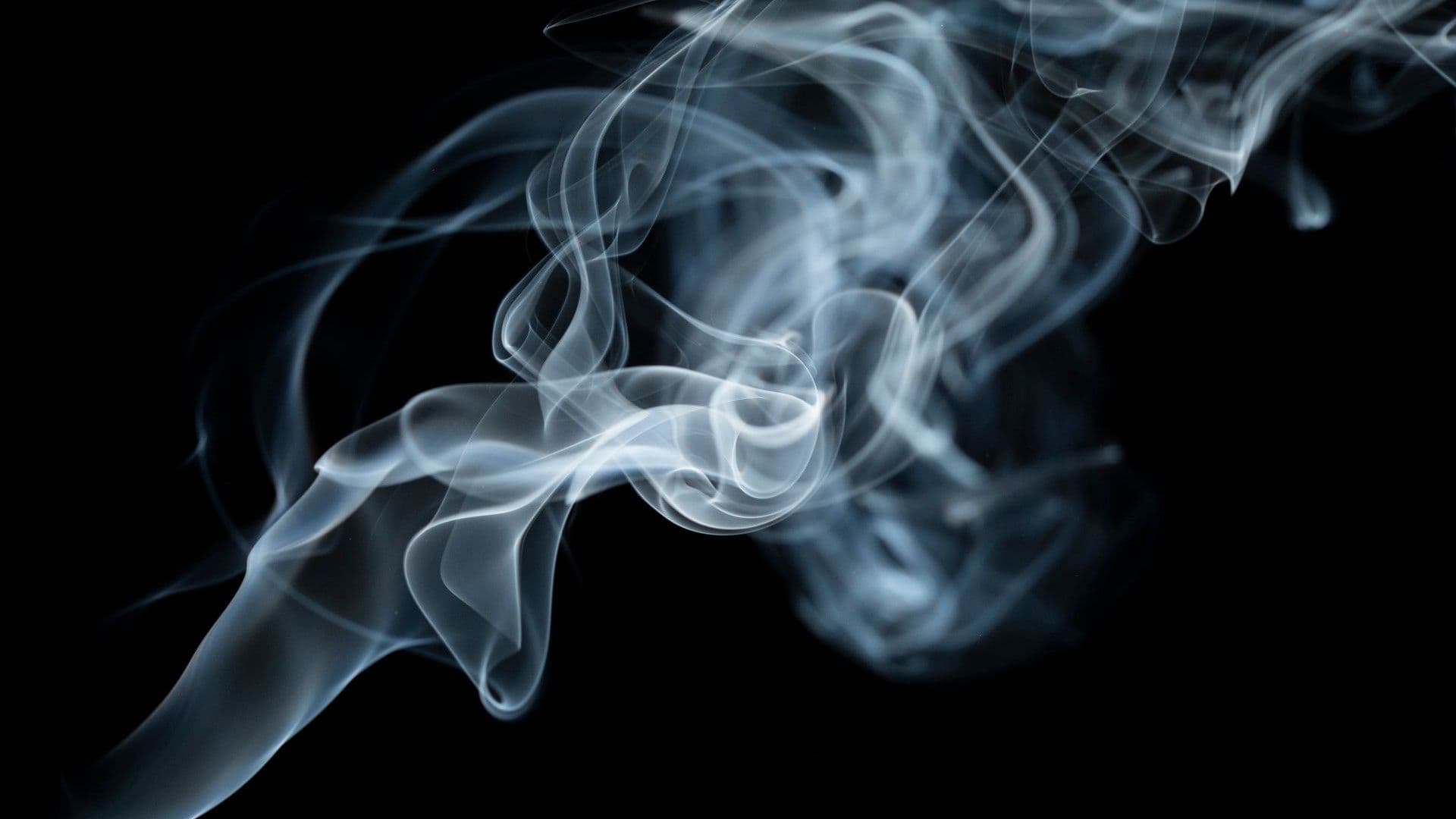 Ethereal wisps of smoke gracefully swirl against a stark black backdrop.