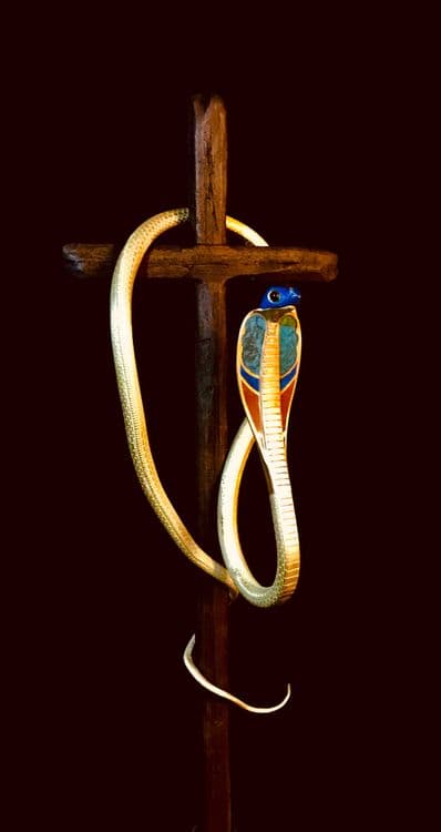 brazen-serpent media related image