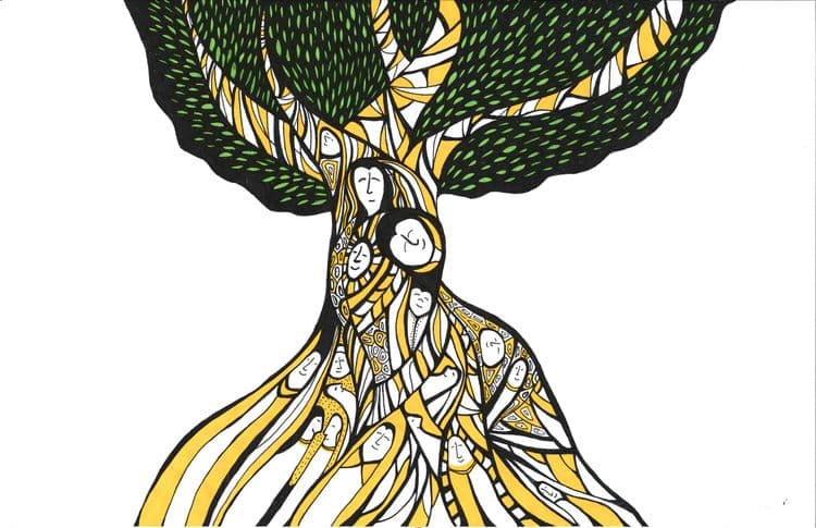 olive-tree media related image