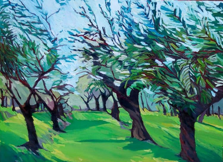 olive-grove media related image