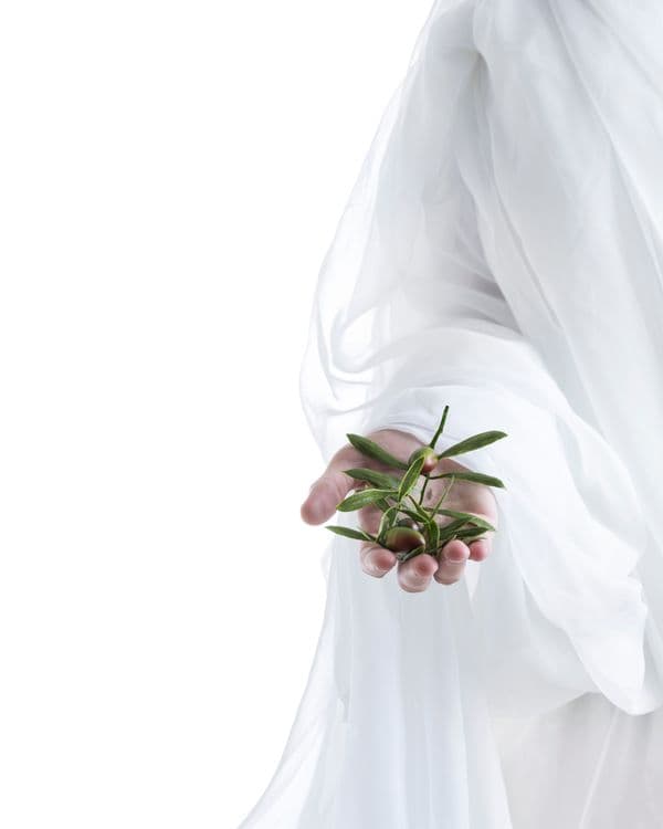 my-peace-i-give-unto-you media related image