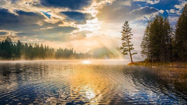 Doctrine and Covenants 49–50