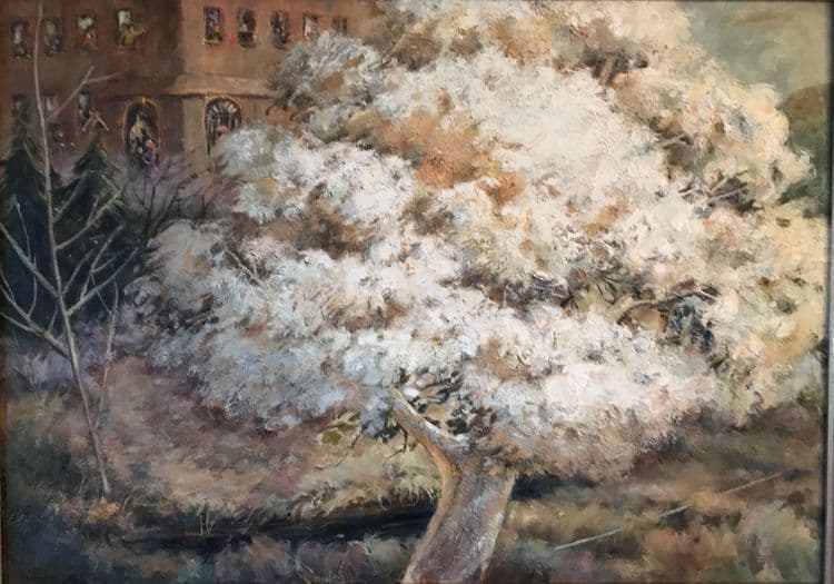 tree-life-1 media related image