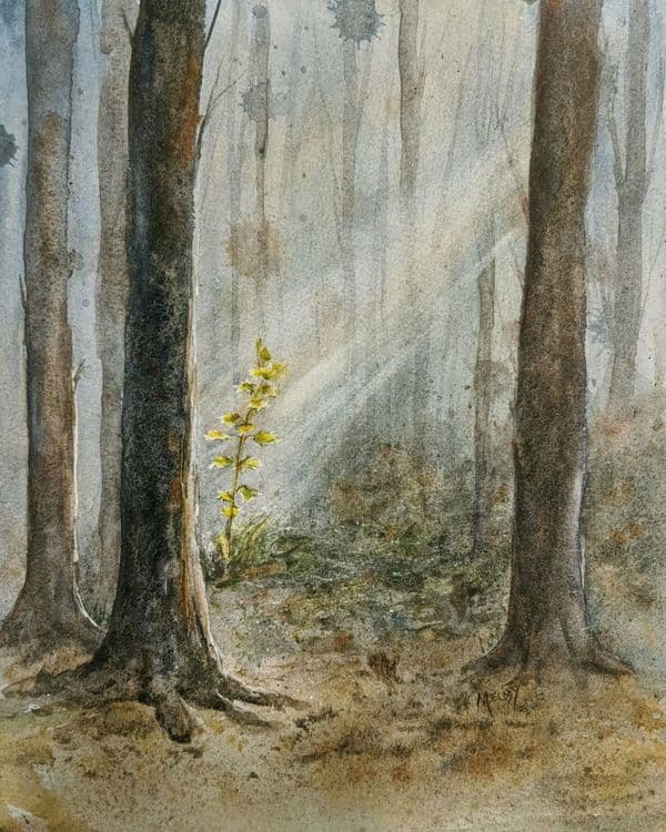 morning-breaks-0 media related image