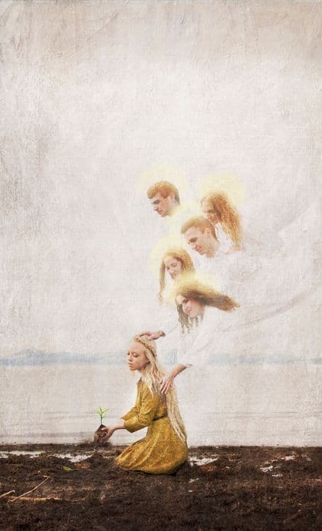 do-you-not-see-them media related image