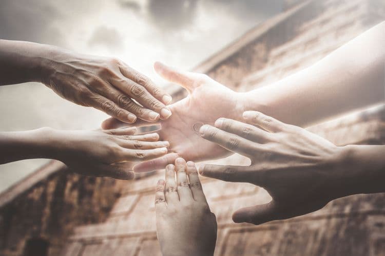 palpad-y-ved media related image