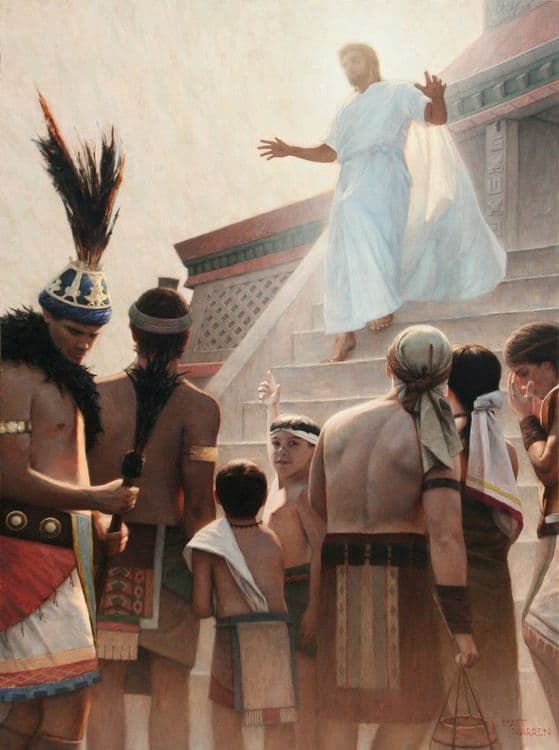 other-sheep media related image