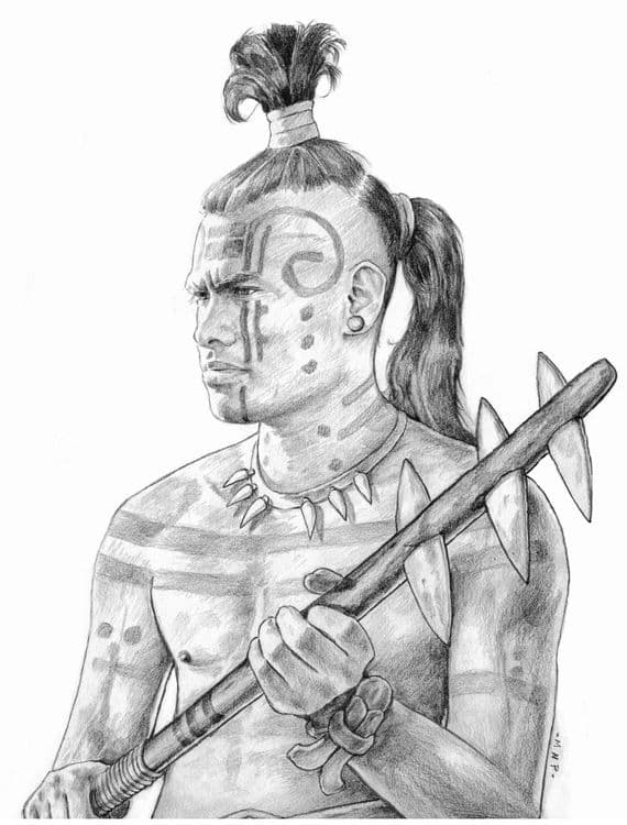 zerahemnah-0 media related image
