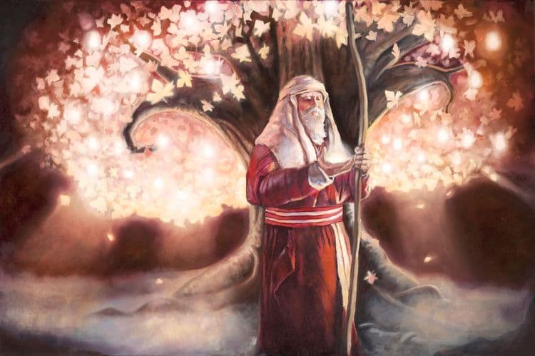 light media related image