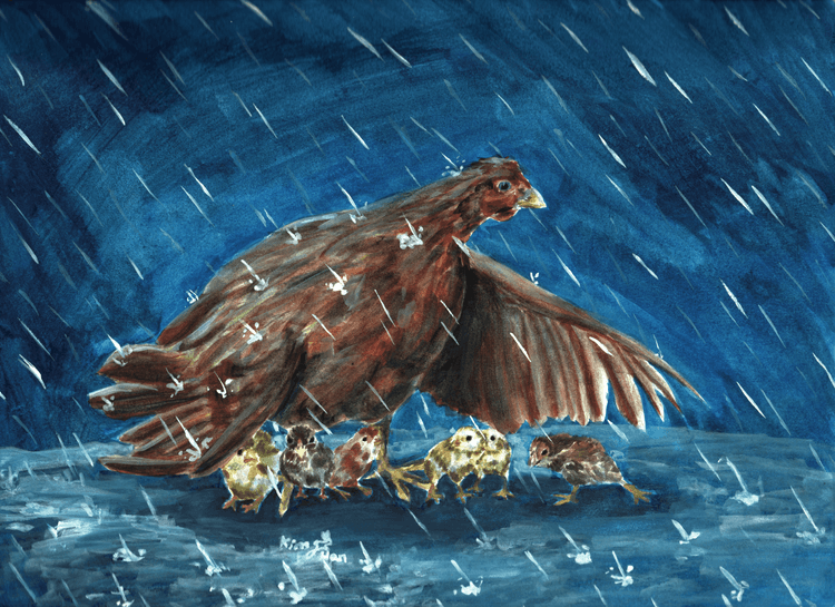 hen-gathereth-her-chickens media related image