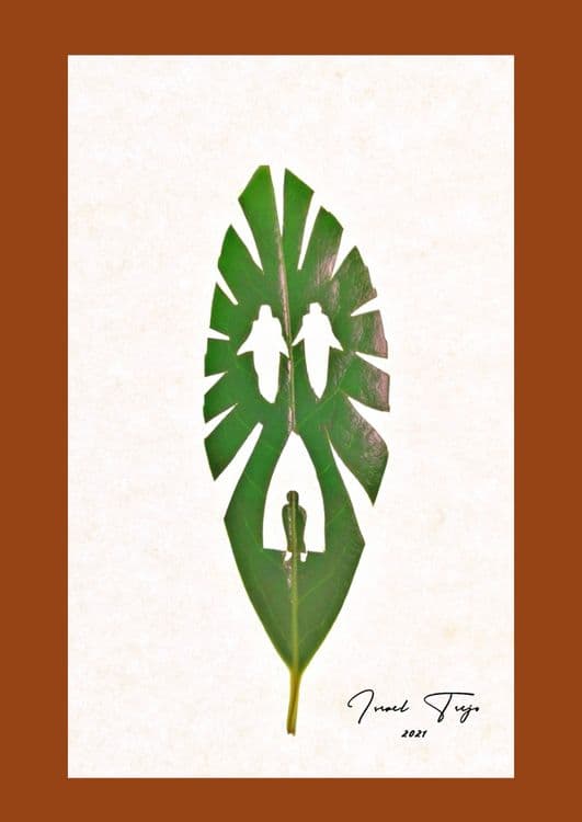 primera-visin-en-hoja media related image