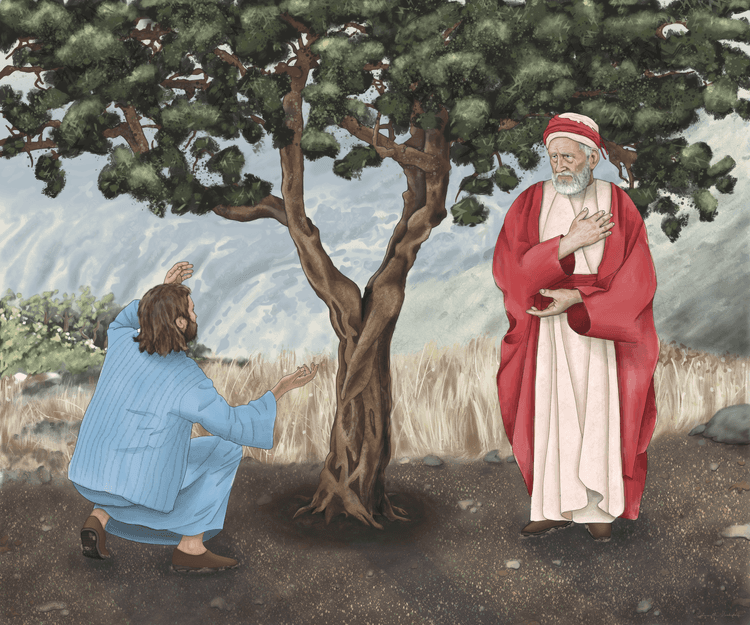 what-more-could-i-have-done-my-vineyard media related image