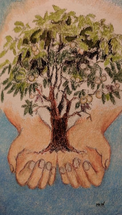 tree-faith media related image